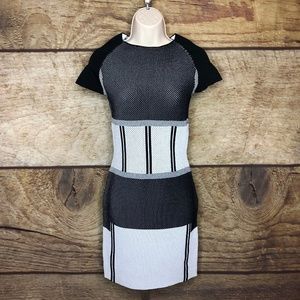 Ash Studio Paris "Roar Dress" Womens Size Small